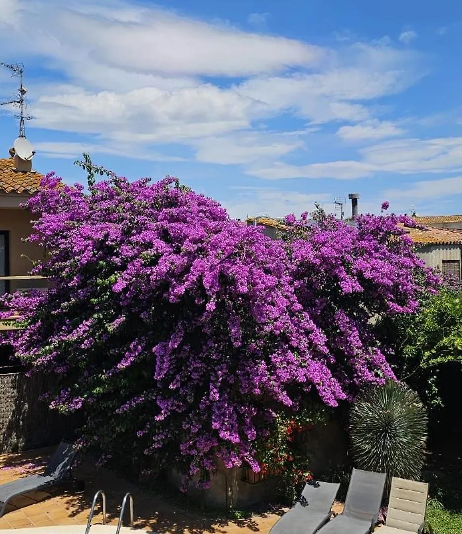 Casa Deluxe Alt Emporda Costa Brava - Private Swimming Pool Villa Vilabertran 0*,  Spain